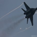 MiG-29 Fulcrum, Serbian Air Force, 101. lae VITEZOVI, Batajnica 2009 © www.dimitrijeostojic.com